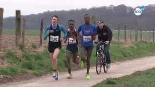 preview picture of video 'Mahadi Abdi Ali wint 10 mijl Rusmanloop'