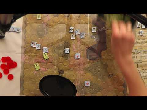 Chits and Cats - Opinion Time