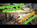 BDO How To Graduation Exchange DEC Tuvala Gear Narchillan Gear Guide Step By Step