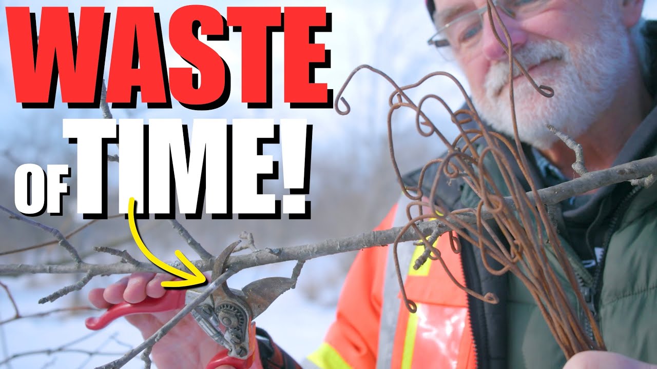 STOP wasting TIME PRUNING your FRUIT TREES & do THIS instead!