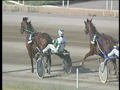 Trotto 28/05/2017 - 5 ª corsa