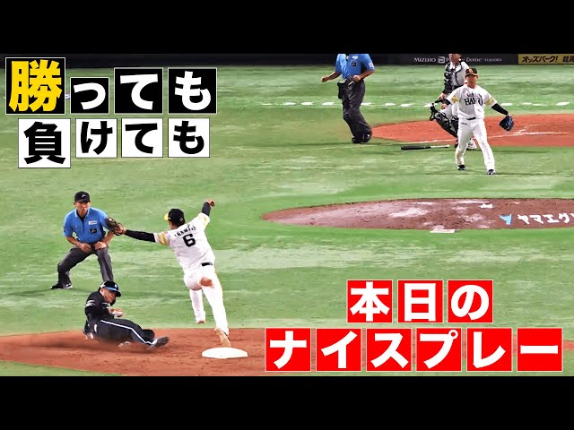 Today's Nice Play (Even if you win) (Even if you lose) (September 3, 2024)