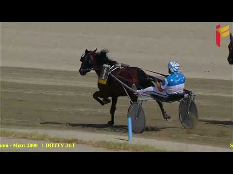 Prova di qualifica del 25 giugno 2022 - 3 Anni - Metri 1600