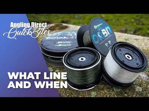 What Line And When - Carp Fishing Quickbite