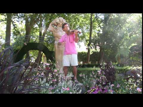 Irlandais cours 36 / 55 - Maggie in the wood (2) - Apprendre le Violon Irlandais avec olivier