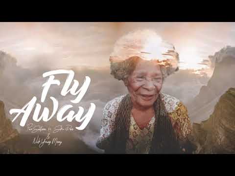 Fly Away - SUKU _dani ft. Pace Santana &  Nick Young Money