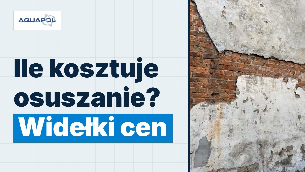 Ile kosztuje osuszanie murów? Konkretne widełki cen
