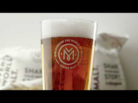 VIKING Pilsner Malt