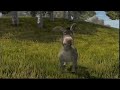 Shrek Arrow Worried About Donkey 2001 VHS Capture