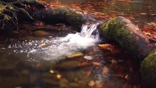 Musica Relaxante | Relax Music | CACHOEIRA - Musica Celta - Paz | #0214#