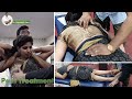 Ultimate Chiropractic Treatment Back Shoulder Pain Dr Rajneesh Kant