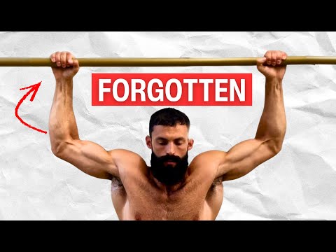 Your Body's Forgotten Strength: Pulling