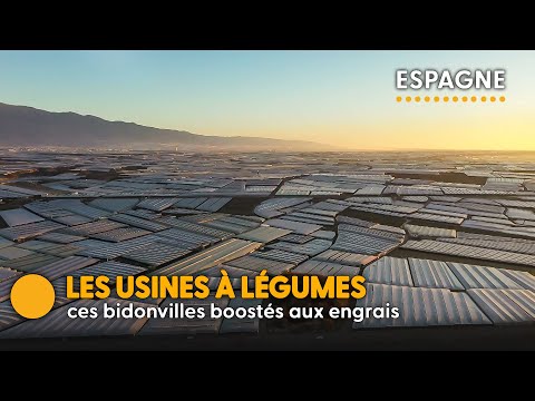 , title : 'Andalousie : la face cachée des usines à légumes européens'
