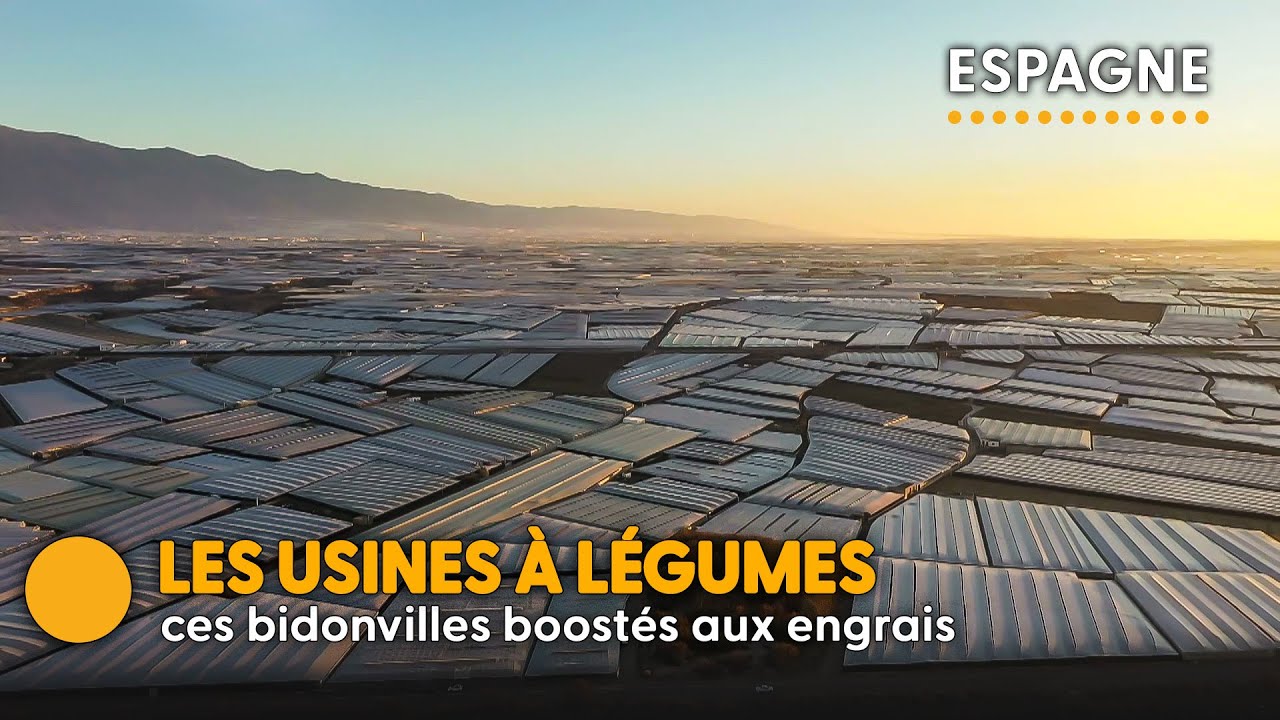 Andalousie : la face cachée des usines à légumes européens