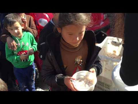 ONE NATION IN LESVOS, GREECE - DAY 5 NOV 2015