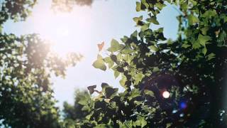 Verbal Jint 버벌진트 - 산책가