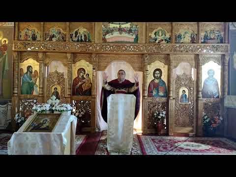 Predica Pr. Nicolae Pavel - Cum sa devii un crestin roditor ?