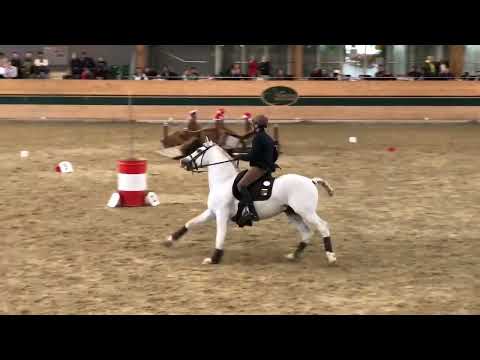 Working Equitation Speedtrail Victor Manuel Richarte and Tiento, vienna 2022