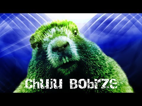 Top 5 remixów: TY CH*JU BOBRZE!