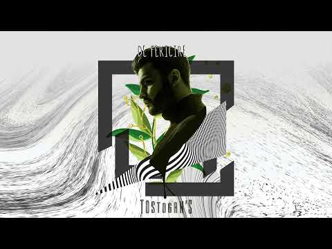 TOSTOGAN'S - De fericire | Audio