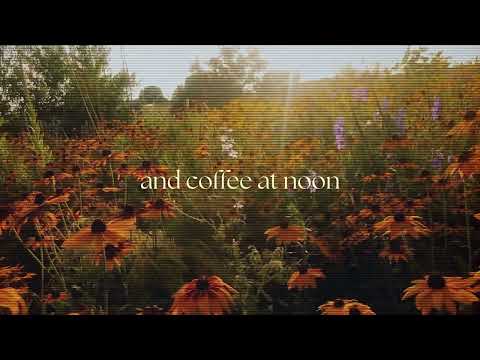 THE LUBBEN BROTHERS - Wildflowers in June (Official Lyric Video)