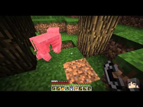 Pak Plays 05/11/2015 - CobbleHATER