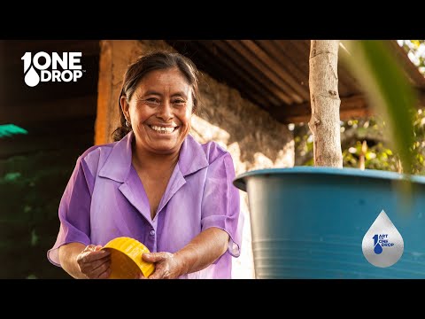 One Drop - Customer Success Story