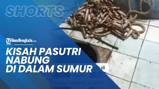 Kisah Viral Pasutri Menabung Uang Koin di Dalam Sumur, Warganet: 
