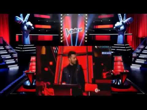 THE BEST OF YOU-FOO FIGHTERS COVERS IN THE VOICE