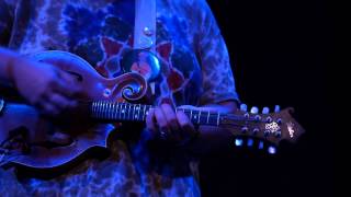 Trampled By Turtles - Widower&#39;s Heart (Live on KEXP)