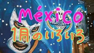 【Vlog】1月の色々【メキシコ】🇲🇽