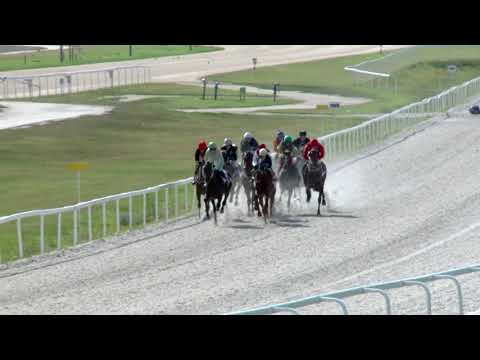 18.07.22. 06. futam - NÉMETH FERENC EMLÉKKUPA III. FUTAMA (V.o.) (szintetikus pálya)