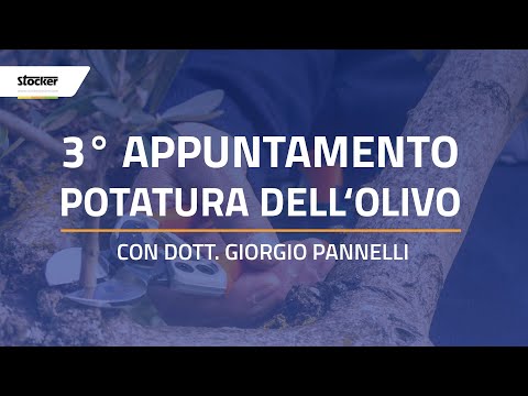 CORSO POTATURA FREE - OLIVO - LIVE 3