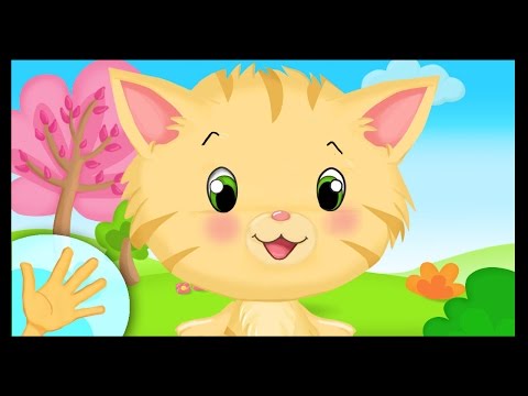 Comptinette du chaton - comptine à gestes