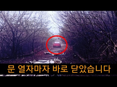 YouTube 썸네일
