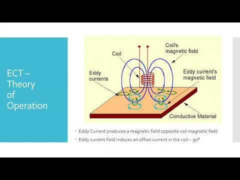 AVS 3650 - Mod 4 - ECT - 2023_02_07 - Part 2