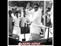 Kalaingar Birthday WhatsApp Status Tamil HD Happy Birthday Kalaingar Karunanidhi Bmk