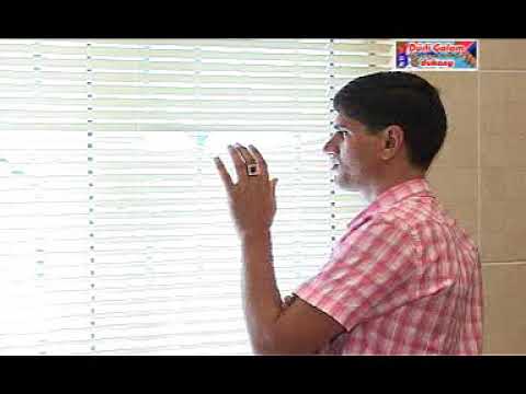 Maksat Hojaýew- Bakan ýar