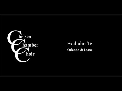 Exaltabo Te