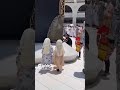 Labbaik Allahumma Labbaik Viralshort Shorts Cutebaby Shortsfeed Baby Makkah Cute