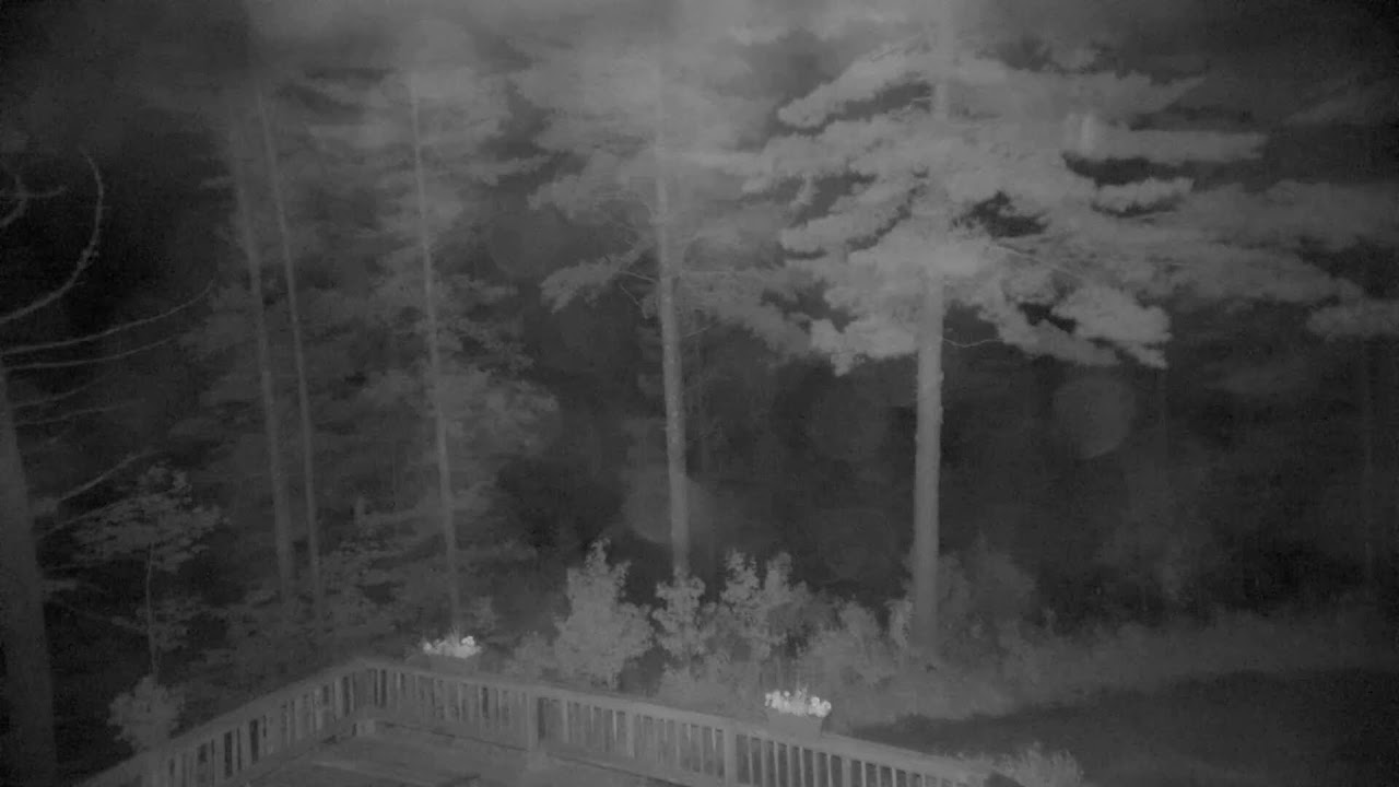 Live webcam view of Heron Marsh at Paul Smith's VIC