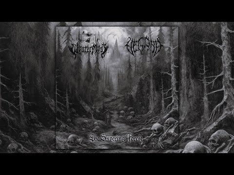 Wynter Myst / Vegard - The Shivering Forest (Full Split)