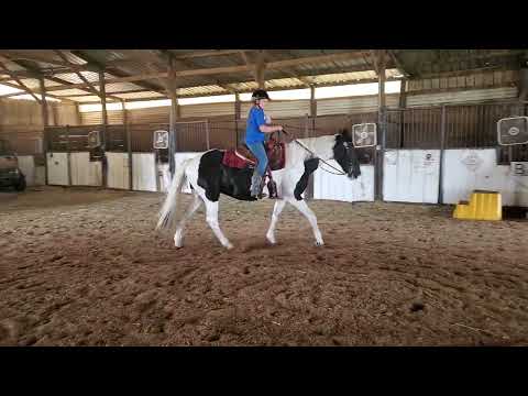 jun23 lily ca 93 and 33 gayp lily watterson leilani's Pride