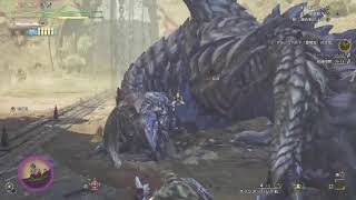 【モンハンワイルズ】昼間のリベンジ