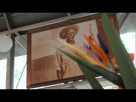 EU VIM DA MINHA ARMADA - FLOR DE JAGUBE - 19 ANOS