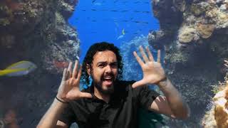 Peixuxa O amigo dos peixes # Raul Seixas