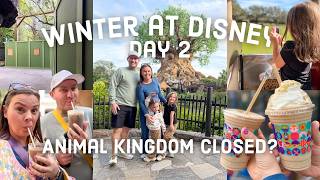 2026 🐯 Is Animal Kingdom Open? | Winter at Disney Day 2