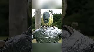 O homem achava que era apocalipse zumbi 😱