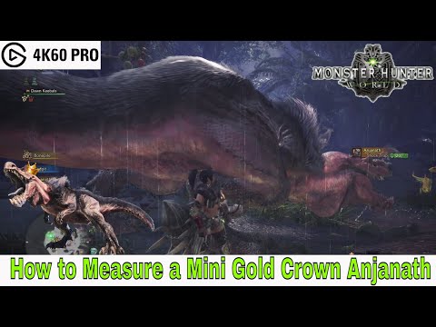 Monster Hunter: World - How to Measure a Mini Gold Crown Anjanath Video