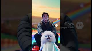 愛犬と散歩してたら、マリオカートの世界に迷い込みました。